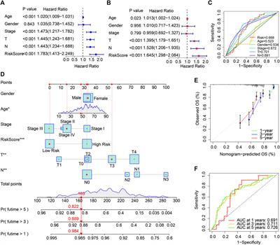 A novel risk model based on anoikis: Predicting prognosis and immune infiltration in cutaneous melanoma